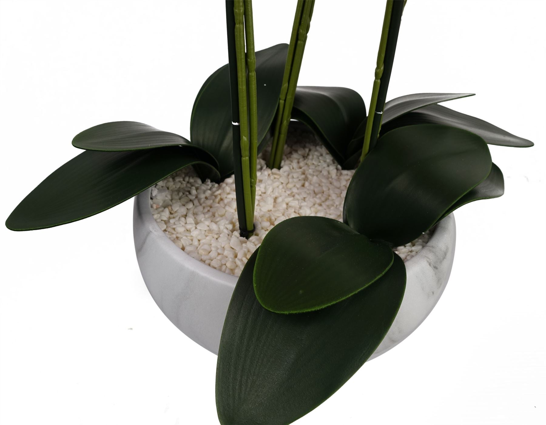 Orchid Pink - Marble Effect Ceramic Planter-2