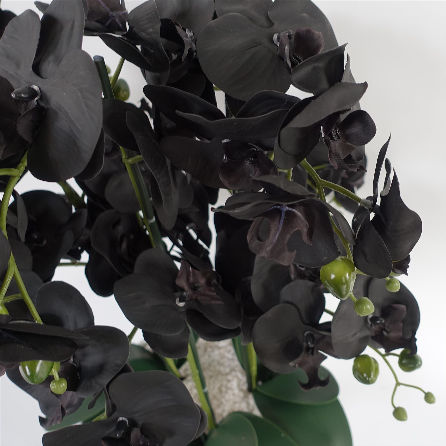 Orchid Black - White Ceramic Planter-3