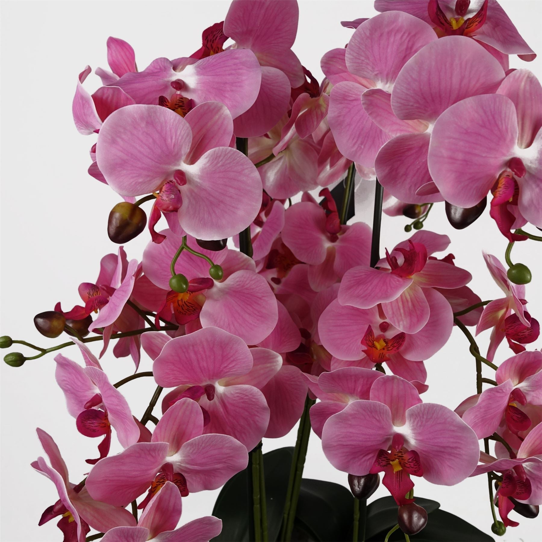 Orchid Pink - Marble Effect Ceramic Planter-1