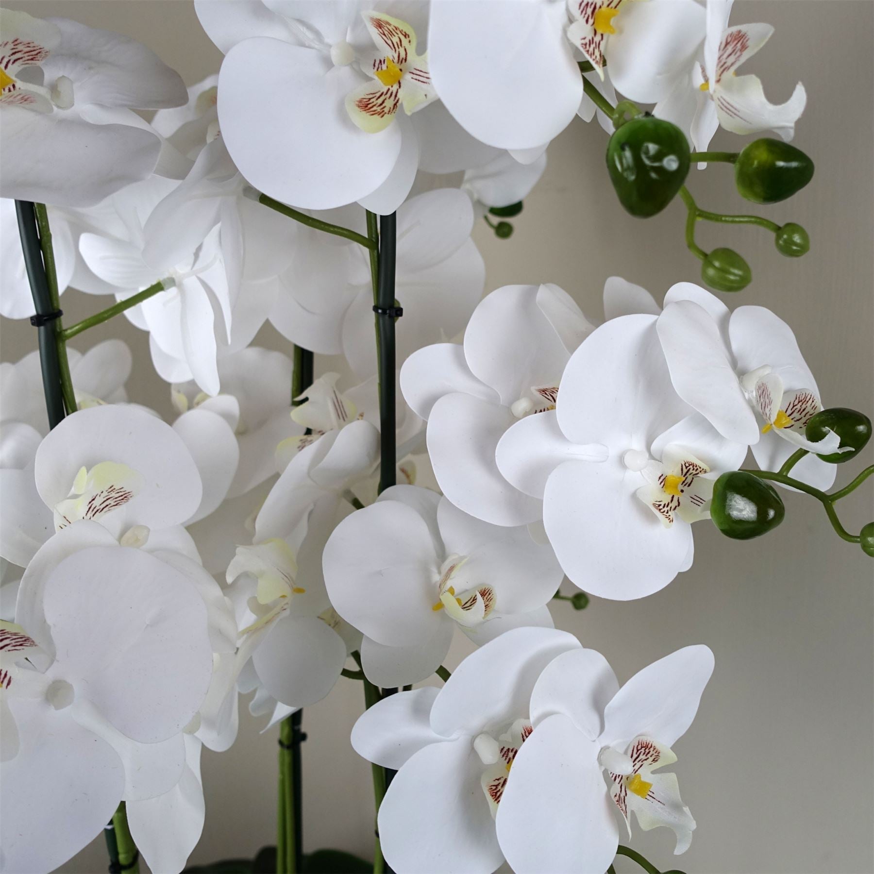 Orchid White - Black Ceramic Planter-2