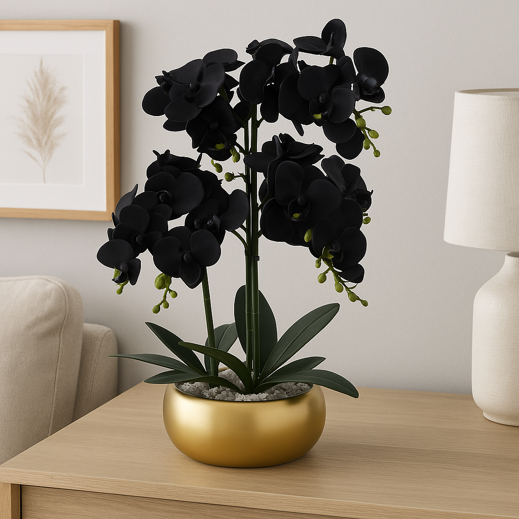 Orchid Black - White Ceramic Planter