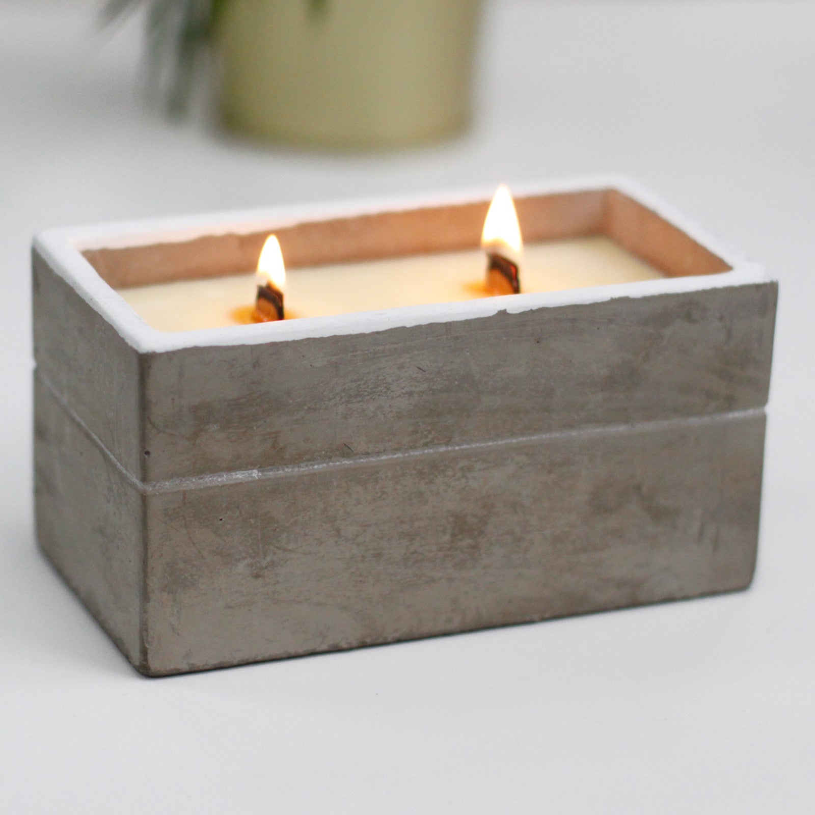 Spiced South Sea Lime Concrete Candle – Large Box