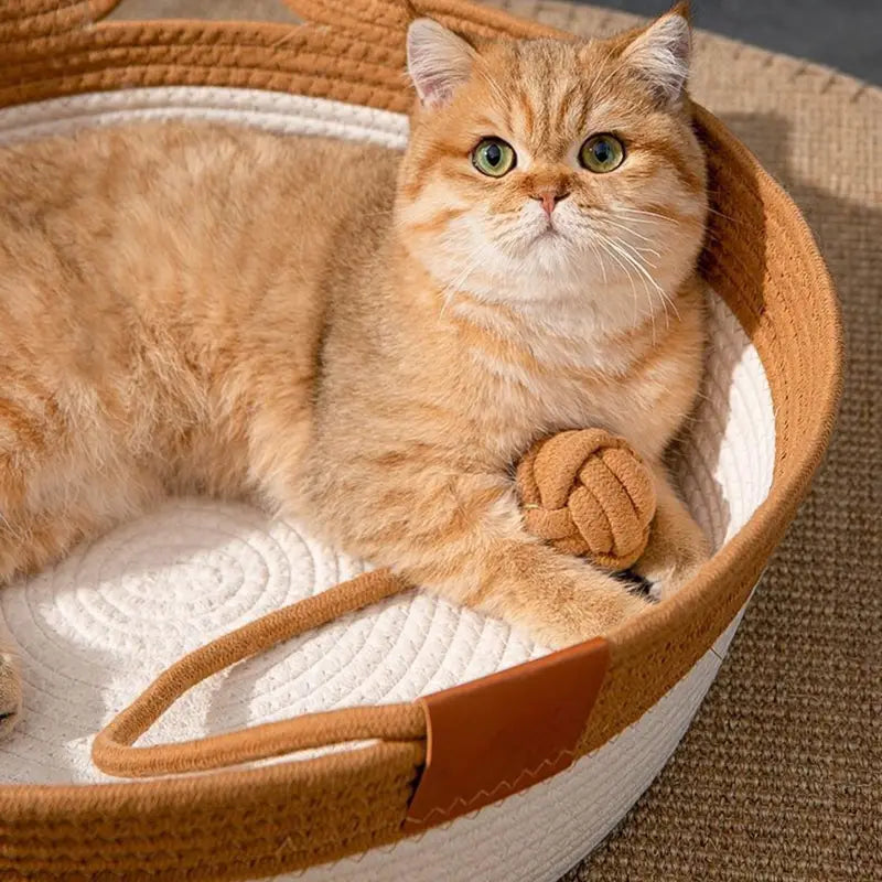 Vintage Cat Ear Scratching Board Bed